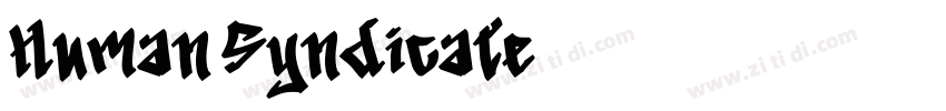 Human Syndicate字体转换